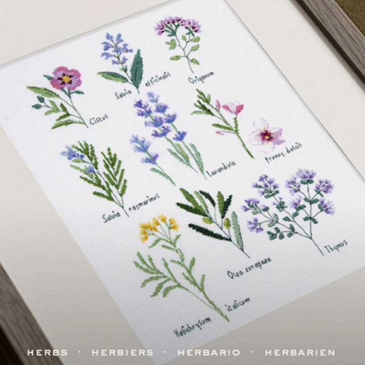 Broderikit DMC Herbs