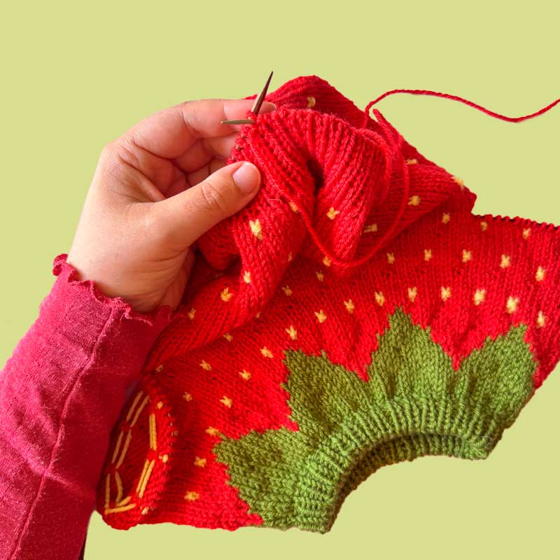 Garn til Fruit Sweater Junior i Double Sunday
