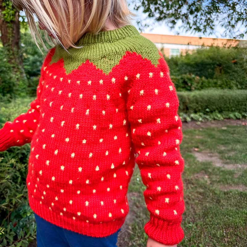 Garn til Fruit Sweater Junior i Double Sunday