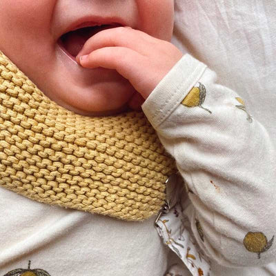 Sigges Savlesmæk fra PetiteKnit (Opskrift i fysisk papirudgave)