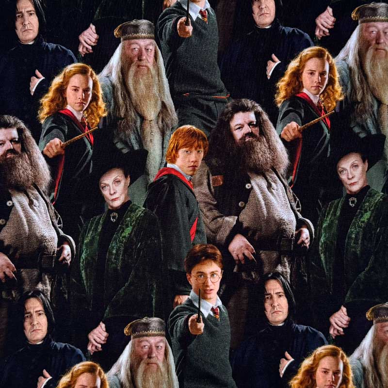 Digital bomuldsjersey med Harry Potter