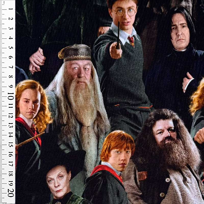 Digital bomuldsjersey med Harry Potter