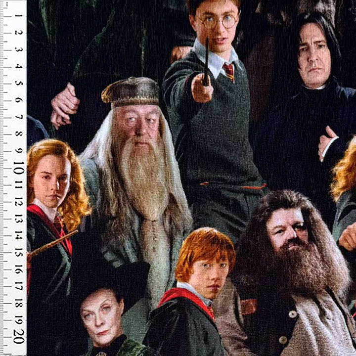 Digital bomuldsjersey med Harry Potter