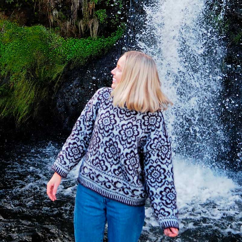 Wild Bloom Sweater i Daisy og Brushed Alpaca Silk