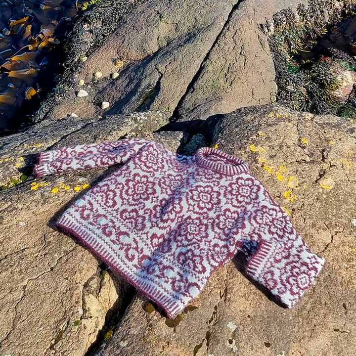 Wild Bloom Sweater i Daisy og Brushed Alpaca Silk