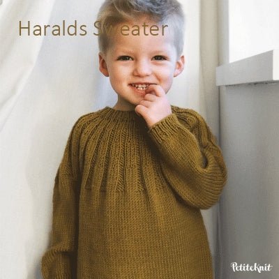 Haralds sweater fra PetiteKnit (Opskrift i fysisk papirudgave)